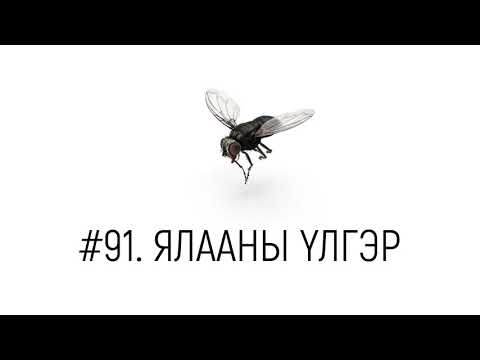 Видео: ЗӨВ ҮҮ? ТАВ УУ? #91. Ялааны үлгэр