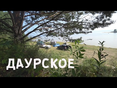 Видео: Даурское