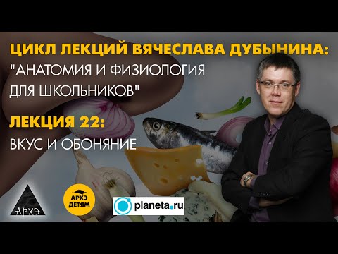 Видео: Вячеслав Дубынин: "Вкус и обоняние" (Лекция 22)