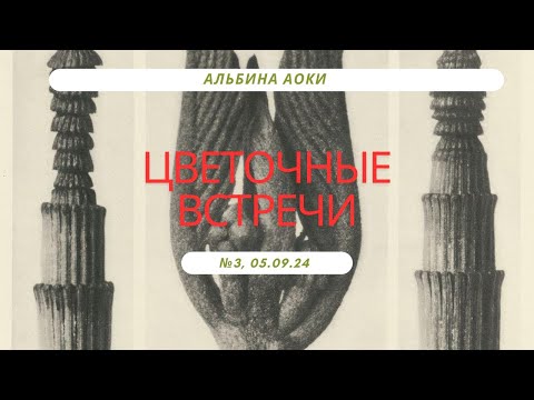 Видео: Встреча№3 по флоротерапии, о треках Дитмара Кремера, цветах/каплях Баха