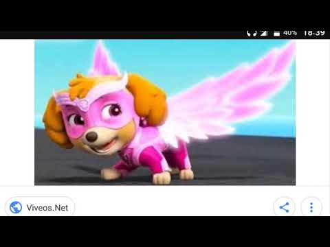 Видео: Скай и Эверест лучшие подруги