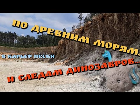 Видео: Карьер Пески. Окаменелости древних морей. По следам динозавров.