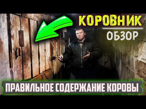 Видео: Обзор коровника. Очень удобный сарай для содержания коровы. Чистка сарая.