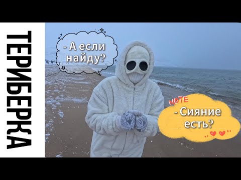 Видео: Как мы ловили в феврале в Териберке северное сияние, проехав 3500км