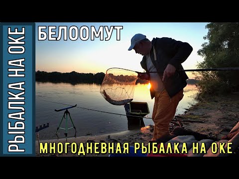 Видео: Многодневная рыбалка на реке Ока в п. Белоомут, 5 суток на реке