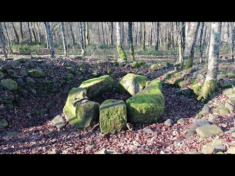 Видео: Видео 18 (часть 3) - Круглые составные и ложнопортальный корытообразный дольмены (Анастасиевка)