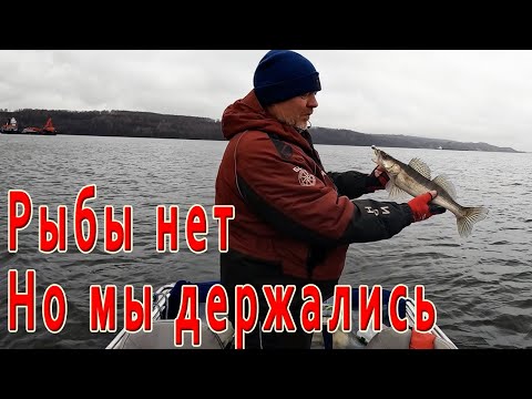 Видео: Бармино. Ноябрьская рыбалка на спиннинг......