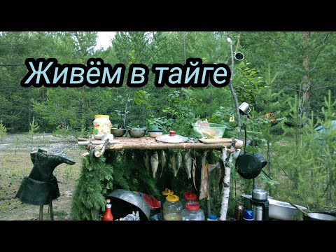 Видео: ЖИВЕМ В ТАЙГЕ / ФЛЯГА ОКУНЯ / ЩУКА 10 КГ  #2/2. bushcraft