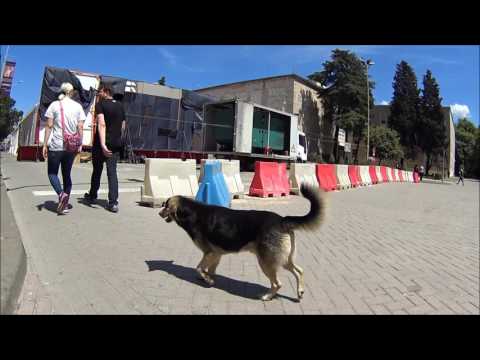 Видео: Албания, Тирана. 04.05.2017