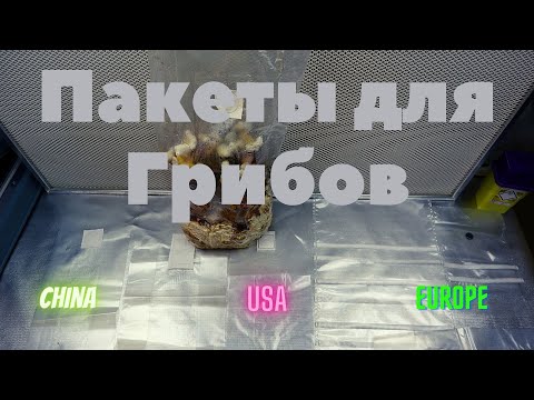 Видео: В чем выращивать грибы ? Выбираем мешки для Мицелия