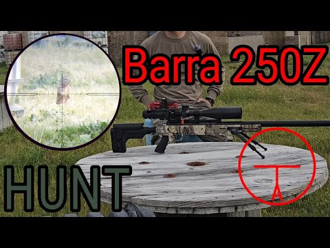 Видео: Barra 250Z охота ***РЕКОМЕНДУЕТСЯ ПО УСМОТРЕНИЮ ЗРИТЕЛЯ***