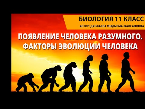 Видео: Появление человека разумного. Факторы эволюции человека