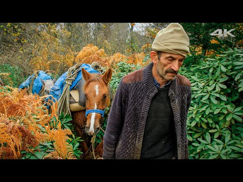Видео: Миграция Зорлу осенью - Путешествие с плато в деревню | Документальный фильм ▫️4K▫️