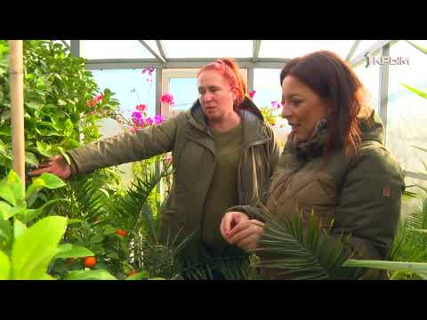 Видео: Деревенское счастье Ирины Мальцевой