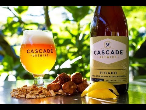 Видео: ВАРИМ ПИВО "КАСКАД"(CASCADE)НА iBrew 40 auto#10