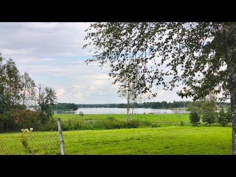 Видео: Kuningaküla, Ida-Viru, Eesti #эстония #прогулка #life #live #лето #лес #река #общение #лисичкина 