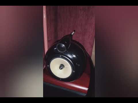 Видео: 11 ноября 2025 г.