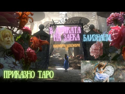 Видео: Близнаци | 🐇Приказно таро - В дупката на заека | Ноември/Декември #таро #хороскоп #близнаци #ноември