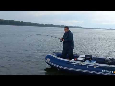 Видео: Рыбалка в Томской области.Обь.Молчаново
