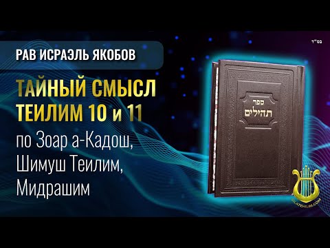 Видео: Теилим 10 и 11 - Тайный Смысл. Рав Исраэль Якобов
