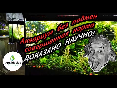 Видео: Аквариум без подмен воды научное обоснование содержания. Основы содержания растительного аквариума.
