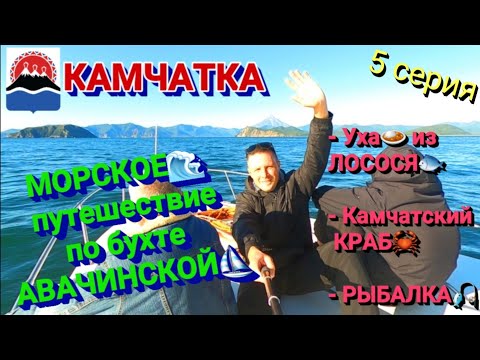 Видео: КАМЧАТКА. Авачинская бухта. Камчатский краб. Уха. Лосось. Рыбалка. Три брата. Сивучи. Океан. Морская