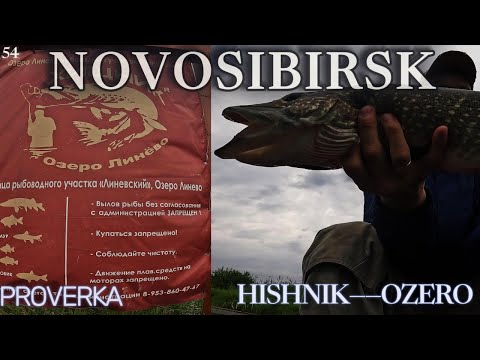 Видео: 😵НЕОГРУЖЕННАЯ РЕЗИНА В КЛОЧЬЯ! Платник "ХИЩНИК ЛИНЕВО"  Спиннинг с лодочки.