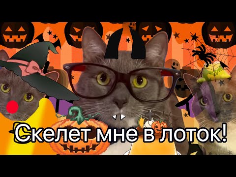 Видео: ЕСЛИ БЫ КОТИКИ ГОТОВИЛИСЬ К ХЭЛЛОУИНУ-СТИШКИ НА ОСЕНЬ И СТРАШНОЕ ЧАЕПИТИЕ 