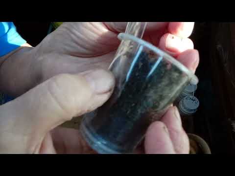 Видео: ОТВЕТЫ НА ВОПРОСЫ ПОДПИСЧИЦ.