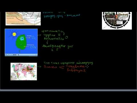 Видео: Жаратылыштагы айланыштар