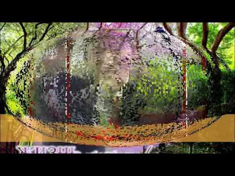 Видео: балам туған куніңмен