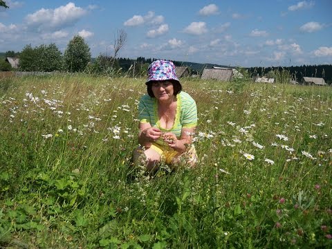 Видео: Пермь. Ашап. Михайловка милая моя-1..avi