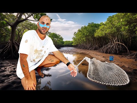 Видео: ДЕНЬ 2. Ловля баррамунди на живую наживку