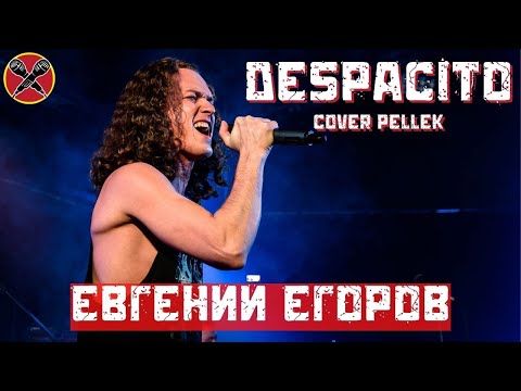 Видео: #ЕвгенийЕгоров | DESPACITO НА РУССКОМ ЯЗЫКЕ | Metal Cover by PelleK | #LadiesParty 08.03.2022