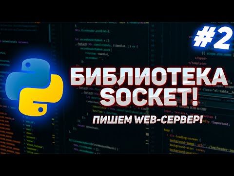 Видео: #2 - Python Socket. Пишем собственный сервер на Python за 5 минут!