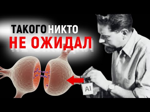 Видео: Как Два Игрушечных Робота Изменили Науку О Сознании