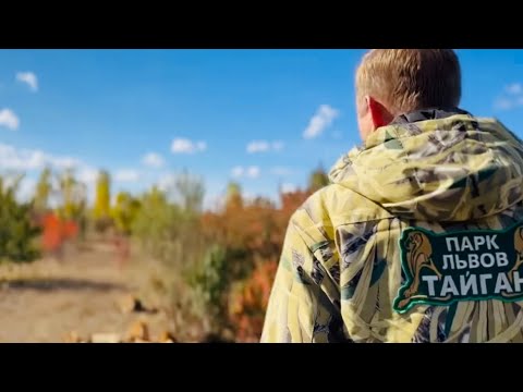 Видео: Как Олег Зубков ПОДНЯЛ ЛЬВОВ, чтобы получить красивую картинку)))