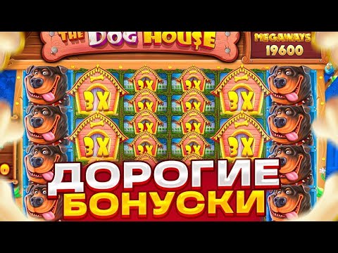 Видео: ПОСЛЕ КАЖДОЙ НЕОКУПНОЙ БОНУСКИ УДВАИВАЮ СТАВКУ!!! В СЛОТЕ  The Dog House Megaways | СЛОВИЛ ЗАНОС???