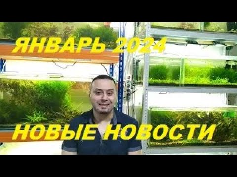 Видео: Аквановости на январь 2024