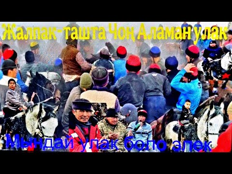 Видео: Көк бөрү Жалпак-таш Түз -бел Айылы Уларбектин улагы.29.12.2024
