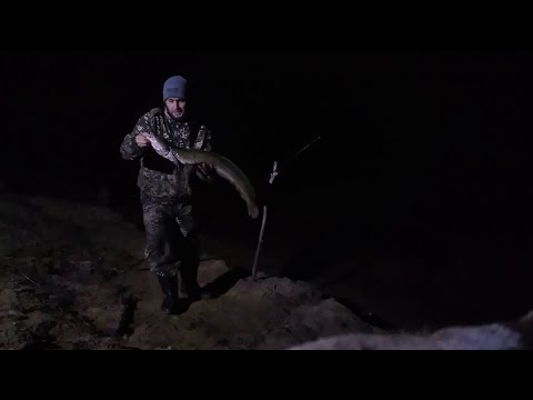 Видео: РЫБАЛКА НА НАЛИМА,ОСЕНЬ 2024