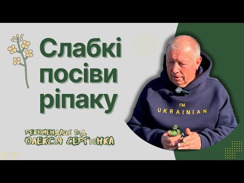 Видео: РЕКОМЕНДАЦІЇ ЩОДО ПОКРАЩЕННЯ СЛАБКИХ ПОСІВІВ РІПАКУ