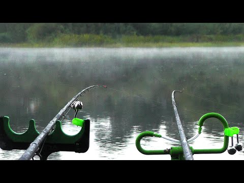 Видео: Нервным лучше не смотреть🐟🐟🐟.МОЩНЫЕ ПОКЛЕВКИ ЛЕЩА. рыбалка 2025. Рыбалка с ночевкой