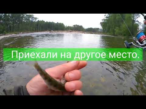 Видео: Рыбалка ПРИМОРСКИЙ КРАЙ Рыбалка НА блесна   #простаярыбалка  #горнаярыбалка