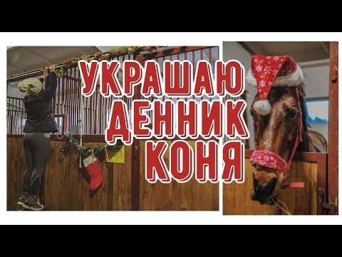 Видео: VLOGMAS пошёл не по плану/ 3 дня из жизни конника ❄️🎄❤️