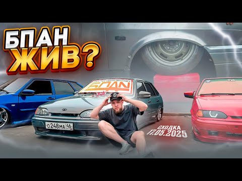 Видео: СХОДКА БПАН в ВОРОНЕЖЕ 17.05.2025 | ОТКРЫТИЕ СЕЗОНА | ДИКИЕ МИНУСА