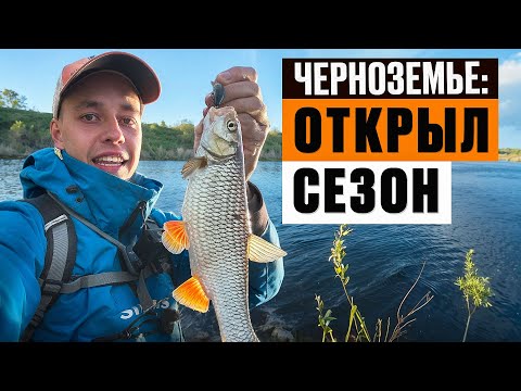 Видео: Ловля голавля весной. Белый хищник в черноземье. Открытие сезона!