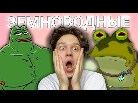 Видео: ЗЕМНОВОДНЫЕ | ЕГЭ ОГЭ Биология