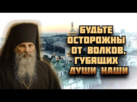 Видео: Будьте осторожны от волков, губящих души наши...Игумен Дамаскин Валаамский