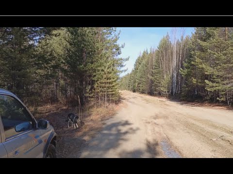 Видео: Зима приближается, успеваем пополнить железную копилку. 13.10.2024 #металлокоп #металлолом #чермет